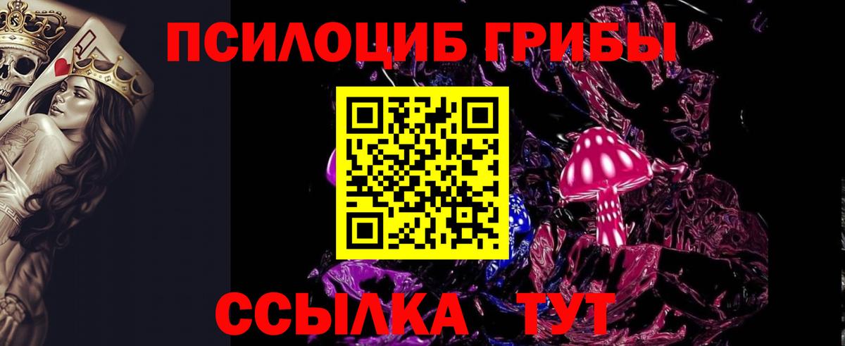 Галлюциногенные грибы GOLDEN TEACHER  что такое наркотик  Благодарный  Вход с VPN 